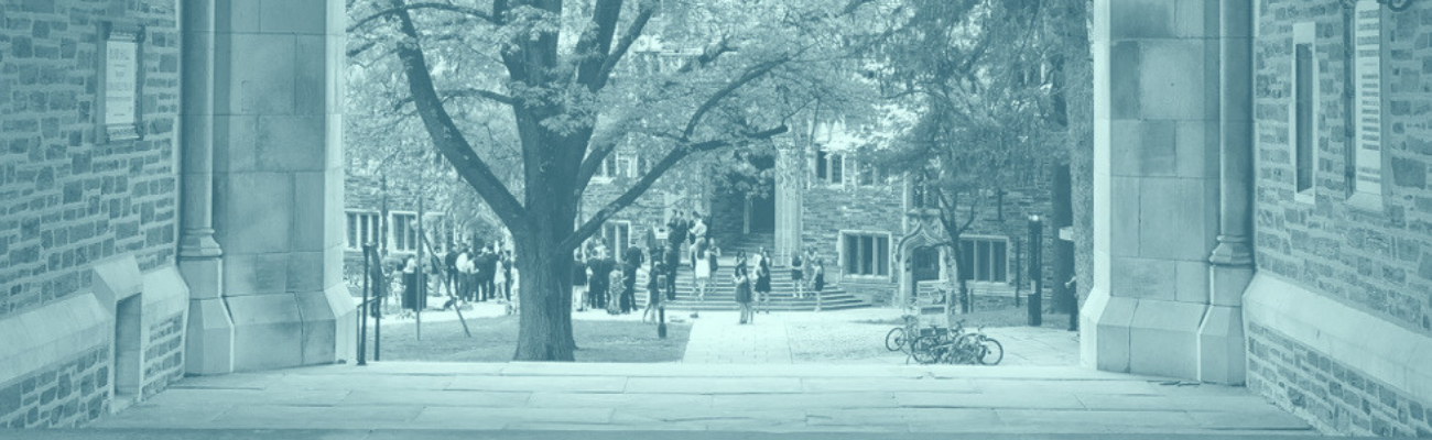 Hot Market Growth: Education Sector Insights